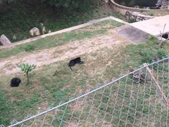 -石家庄市动物园