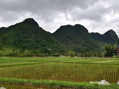 -靖西鹅泉风景区