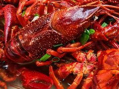 -香满锅老北京羊蝎子火锅·家常菜(新街口店)