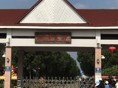 -上海都市菜园