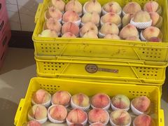 -老袁家蜜桃农场·阳山水蜜桃