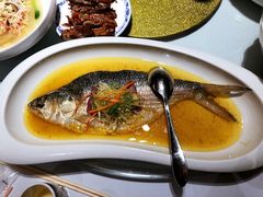 -席家花园(巨鹿花园店)