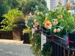 -耕渔小院·湖南鱼鲜(望城店)