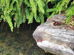 -云溪植物园