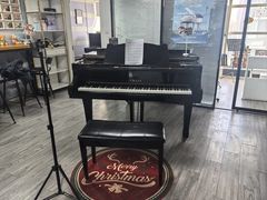 -梅纳·钢琴声乐架子鼓Mena Music(双井店)