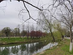 -洋湖国家湿地公园