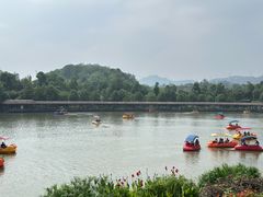 -枫香湖儿童公园