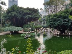 -九龙公园
