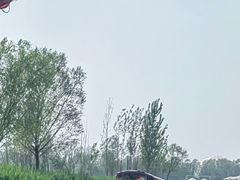 -白洋淀风景区