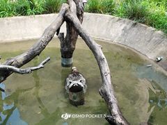 -无锡动物园·太湖欢乐园