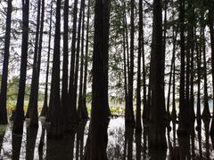-东湖落雁景区