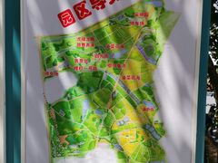 -光明小镇欢乐田园