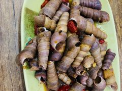 -贞姨美食·老字号海鲜大排档