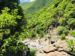 -黑河国家森林公园