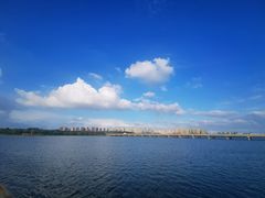 -丁香湖公园