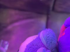 -关你鬼室大型密室逃脱(佛山创意园店)