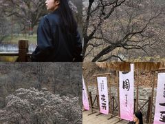 -黑河国家森林公园