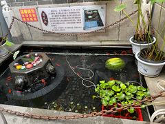 -燕喜堂·中华老字号(大明湖店)
