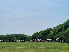 -昆山城市生态森林公园