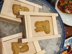 -黑松白鹿(新活馆店)