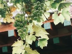 -顺承小院儿