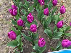 -中国计量大学(西校区)