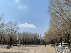 -清东陵