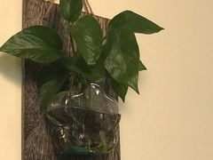 -阿鹏故事云南野生菌火锅(人民路店)