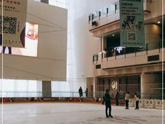 -冰纷万象滑冰场(二七万象城店)