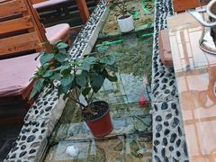 -丽江庭院之爱在路上(西单店)