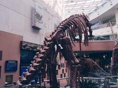 -陕西自然博物馆