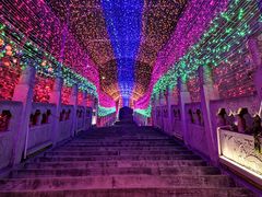 -沕沕水生态风景区