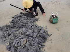 -红树林天天赶海