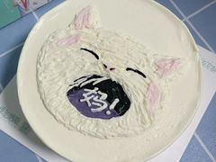 -维尔纳斯·生日蛋糕·动物奶油冰淇淋蛋糕(六里桥店)