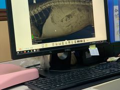 -宠颐生猫科·内科皮肤科(西平世纪城店)