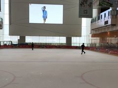 -冰纷万象滑冰场(二七万象城店)