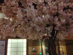 -汤泉良子(金源店)