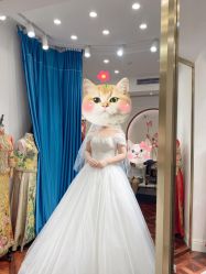 -拉瑞娜LaReine婚纱礼服高级定制