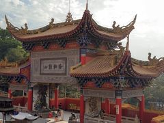 -东莞市大岭山森林公园