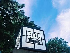 -莲花池公园