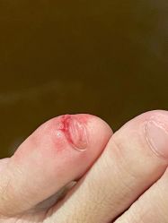 -奇幻丛林(佛罗伦萨小镇店)