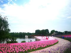 -歌斐颂巧克力小镇