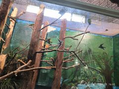 -上海动物园(地铁站)