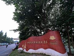 -泗洪洪泽湖湿地景区