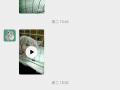 -瑞派雷欧宠物医院·中兽医·眼科·急重症转诊中心(黄台店)