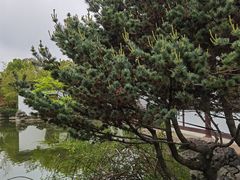 -常熟方塔园