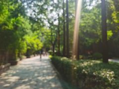-西安曲江寒窑遗址公园