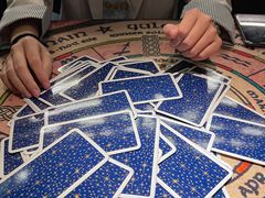 -雪灵魔法世界SHELLY’S TAROT(大良桂畔里店)