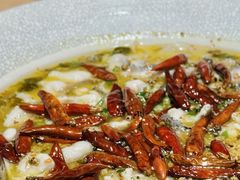 经典黑鱼酸菜鱼-太二酸菜鱼(石家庄万象城店)