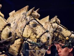 -秦始皇帝陵博物院-丽山园